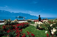 Туроператор Soleanstour, - Швейцария, город Веве, Vevey.