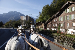 Туроператор Soleanstour, - Швейцария, Интерлакен, Interlaken.