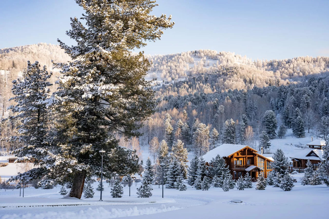 Отель Cosmos Collection Altay Resort 5*