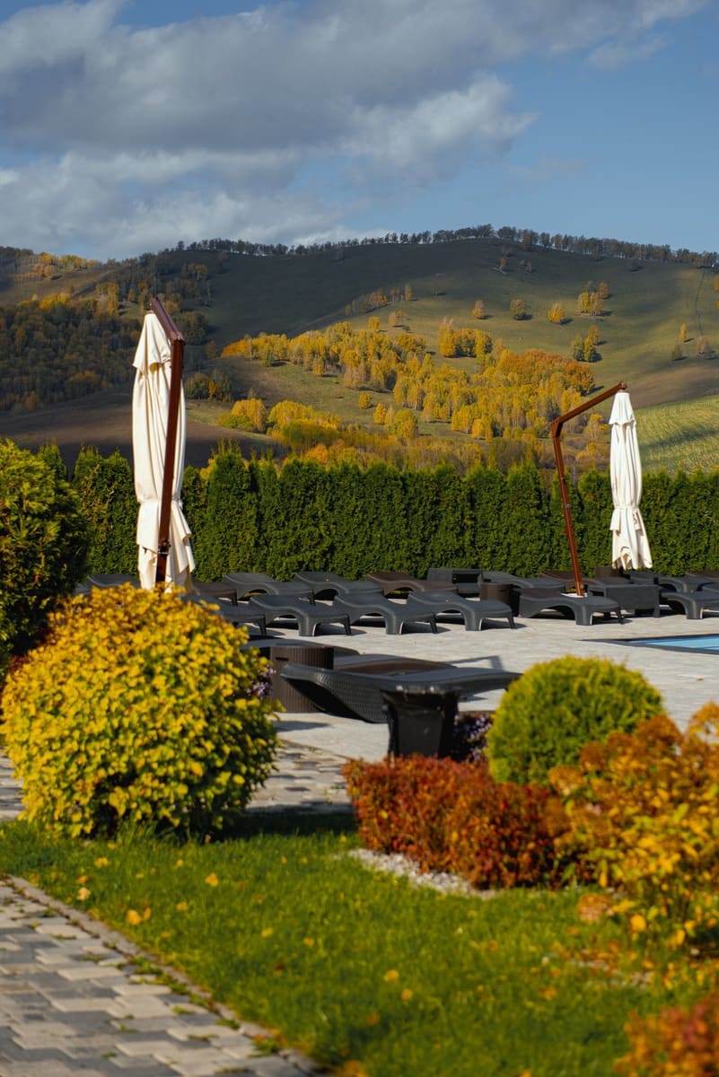 Отель 4* «Altai Palace»