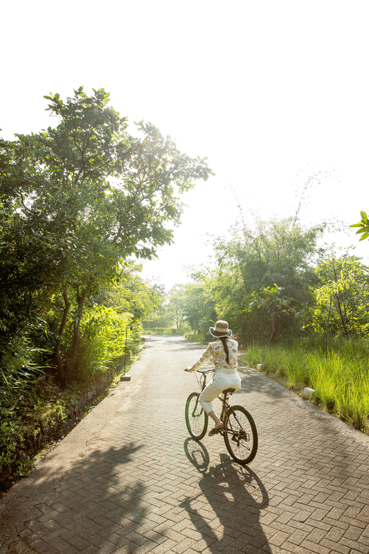 Dharana at Shillim 5*