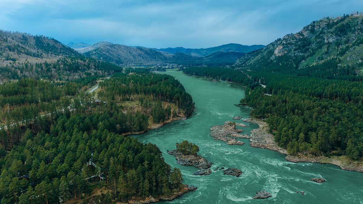 Отель «Хвоя в горах»  5*