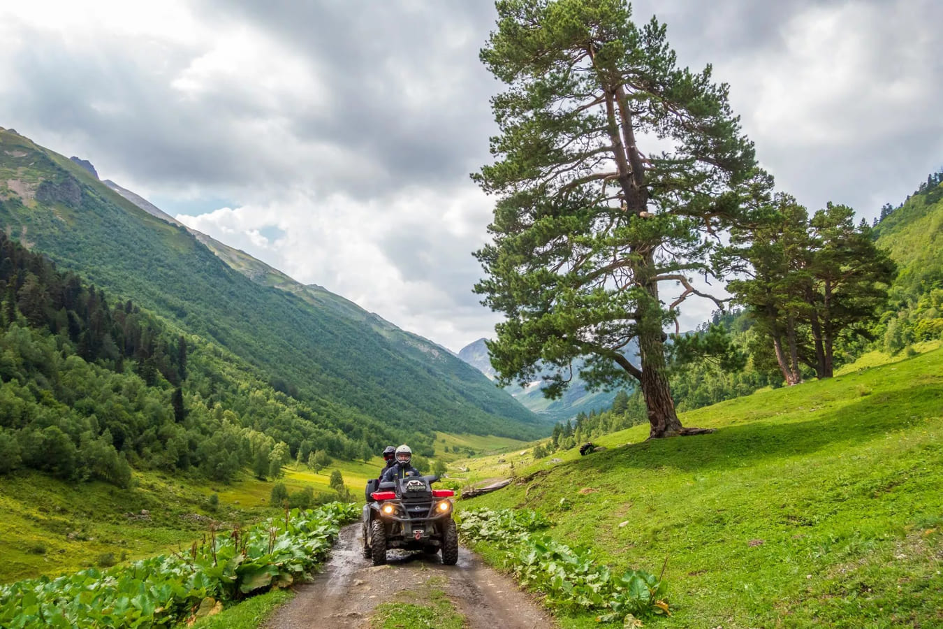 Отель Cosmos Collection Altay Resort 5*