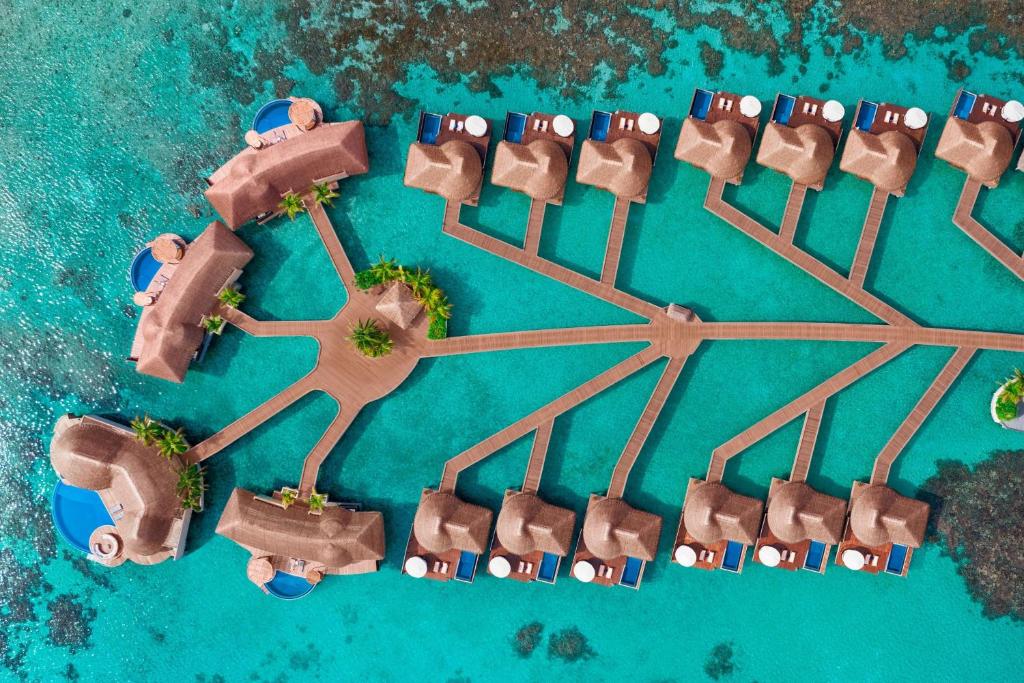 W Maldives (Northern Ari atoll) 5*