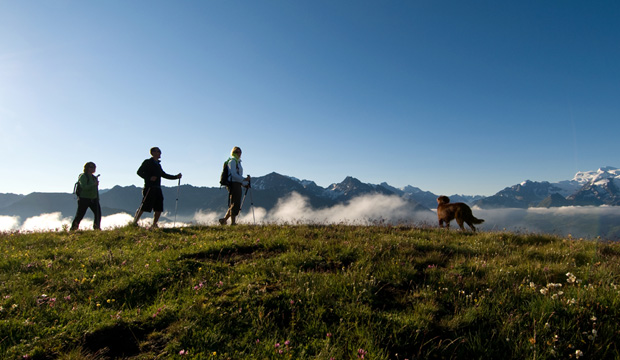 ШАЛЕ THE LODGE VERBIER 5* в ВЕРБЬЕ