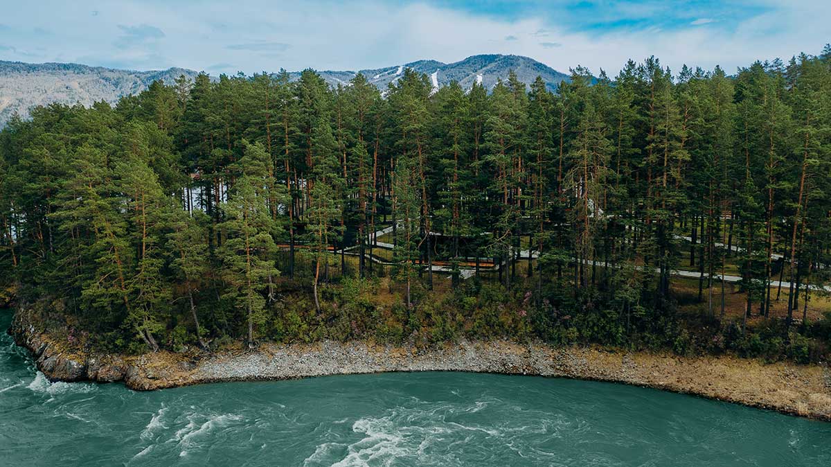 Отель «Хвоя в горах»  5*