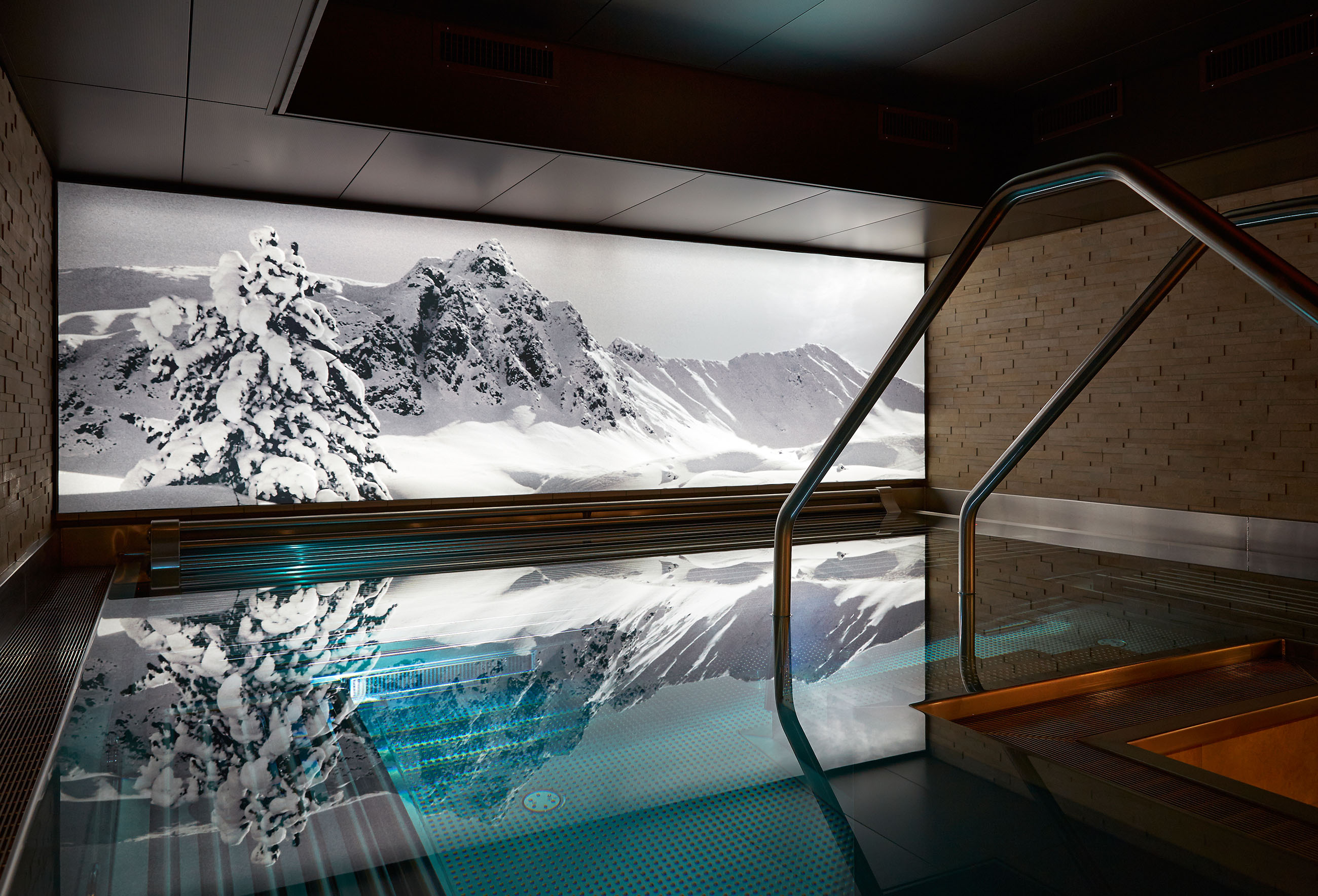 Hotel Seehof Davos 5*