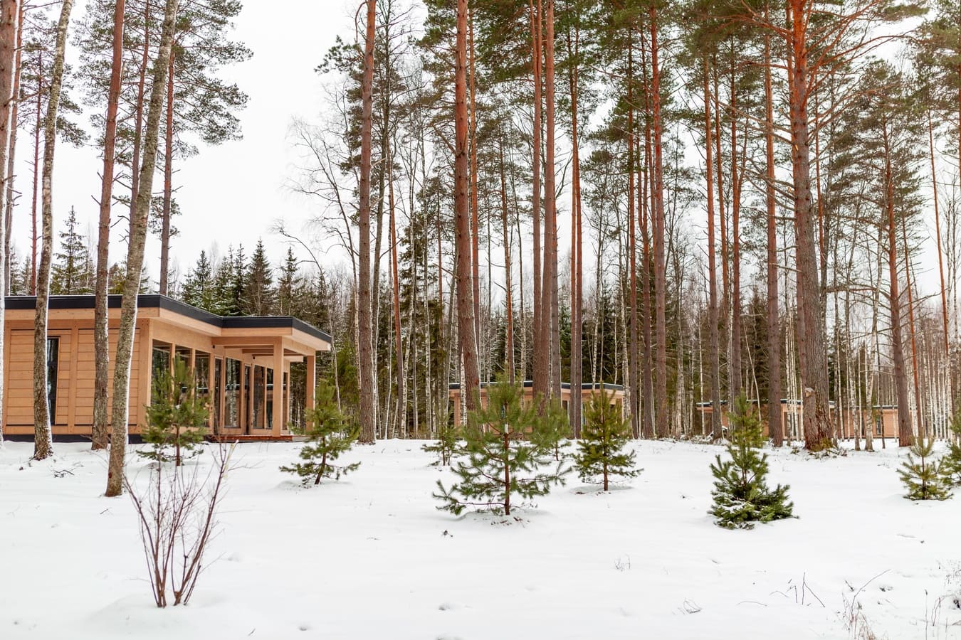 Спорт-Марафон Парк 5*