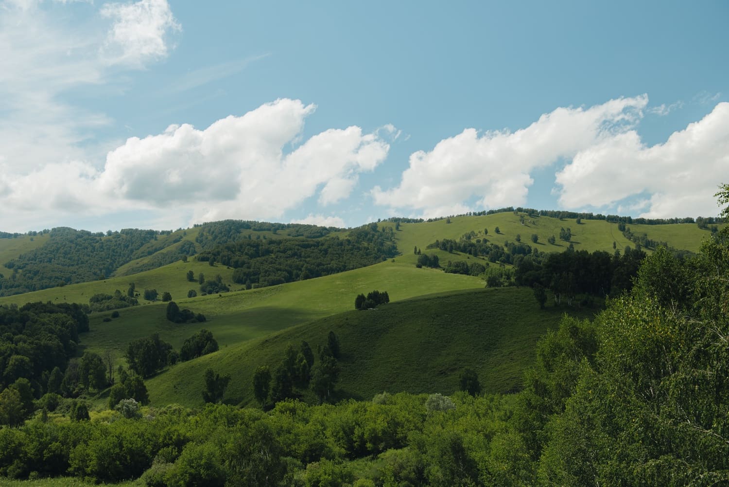 Отель 3* «СредиГор»