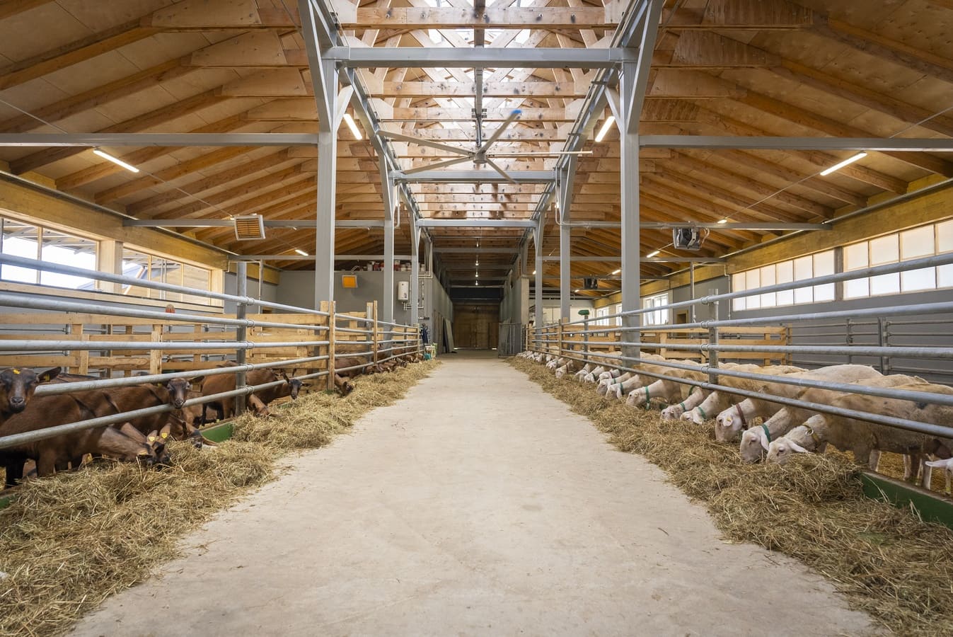 Спорт-Марафон Парк 5*