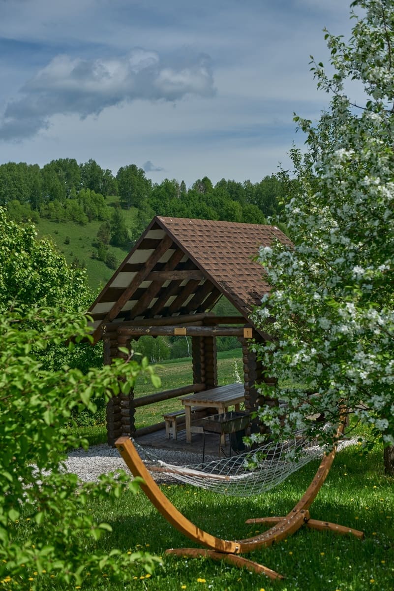 «Шале Алтай Пэлас» 4*