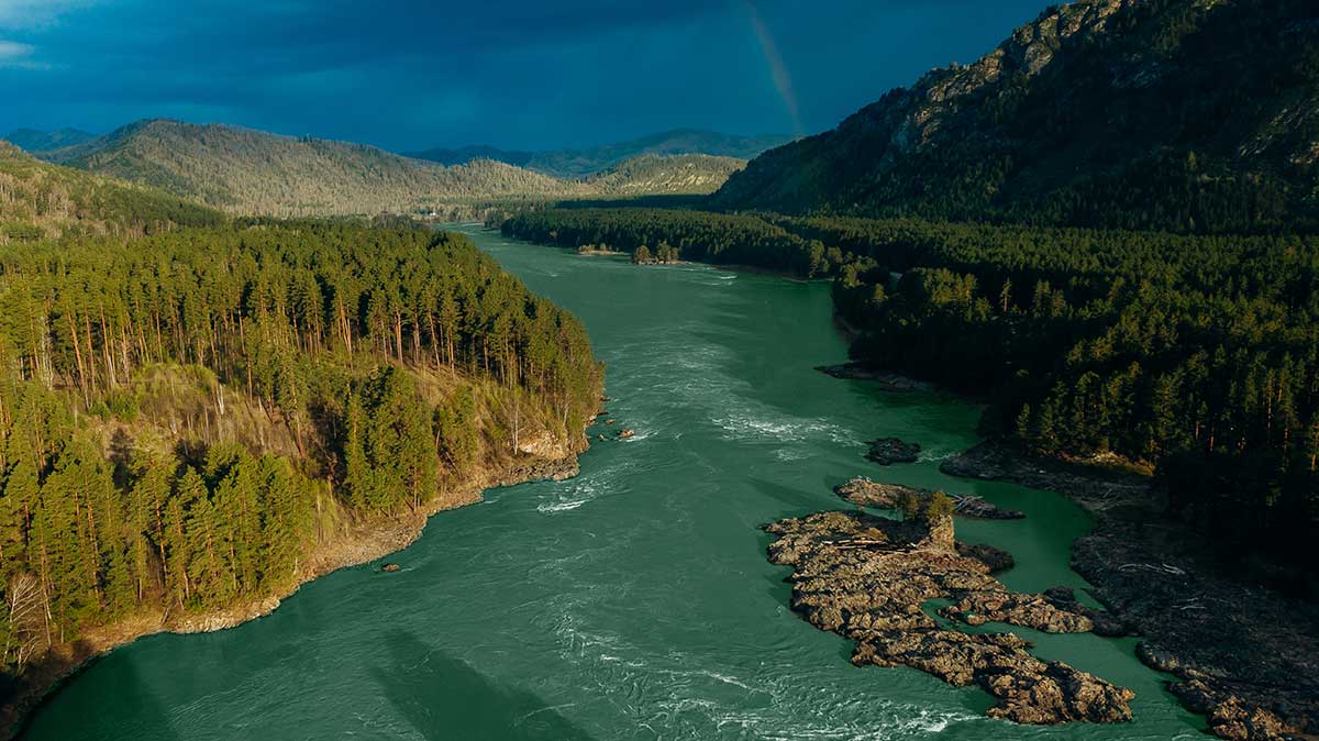 Отель «Хвоя в горах»  5*