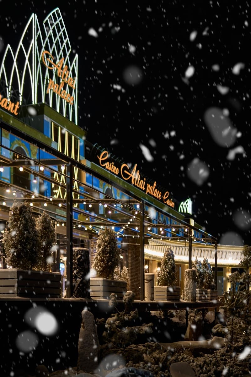 Отель 4* «Altai Palace»