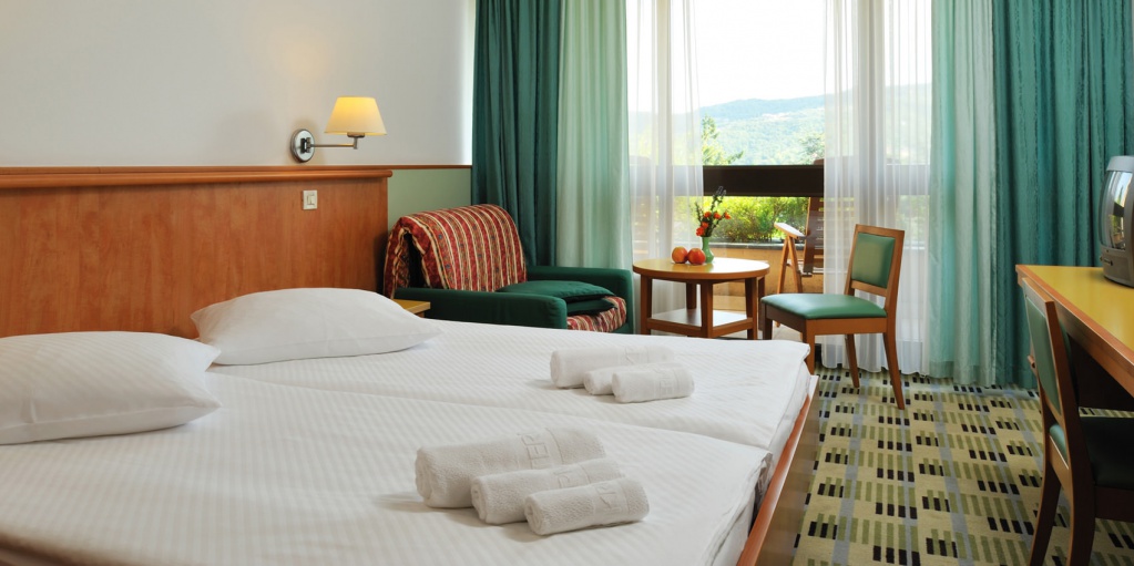 Hotel SVOBODA 4*