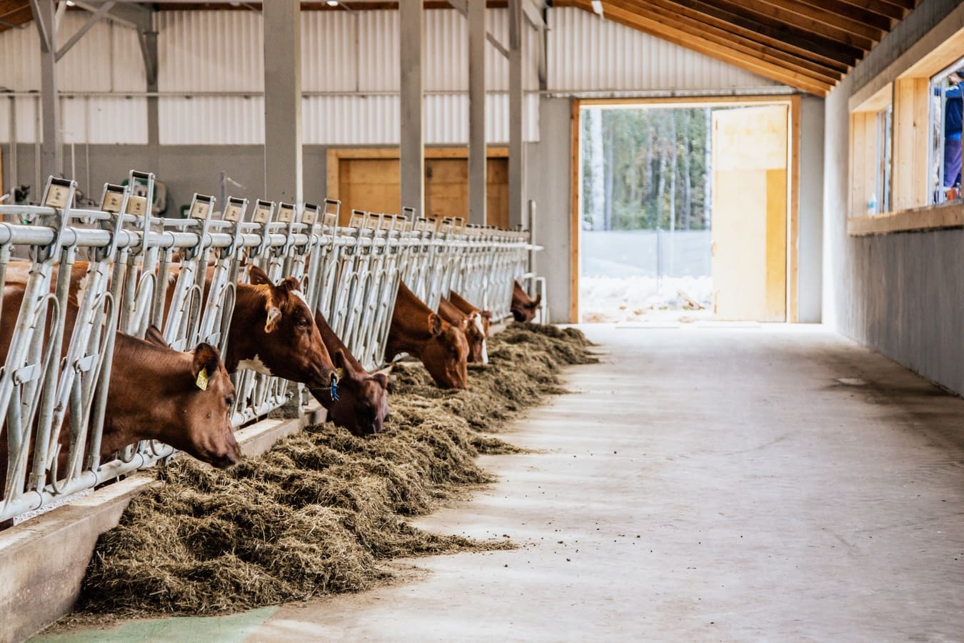 Спорт-Марафон Парк 5*