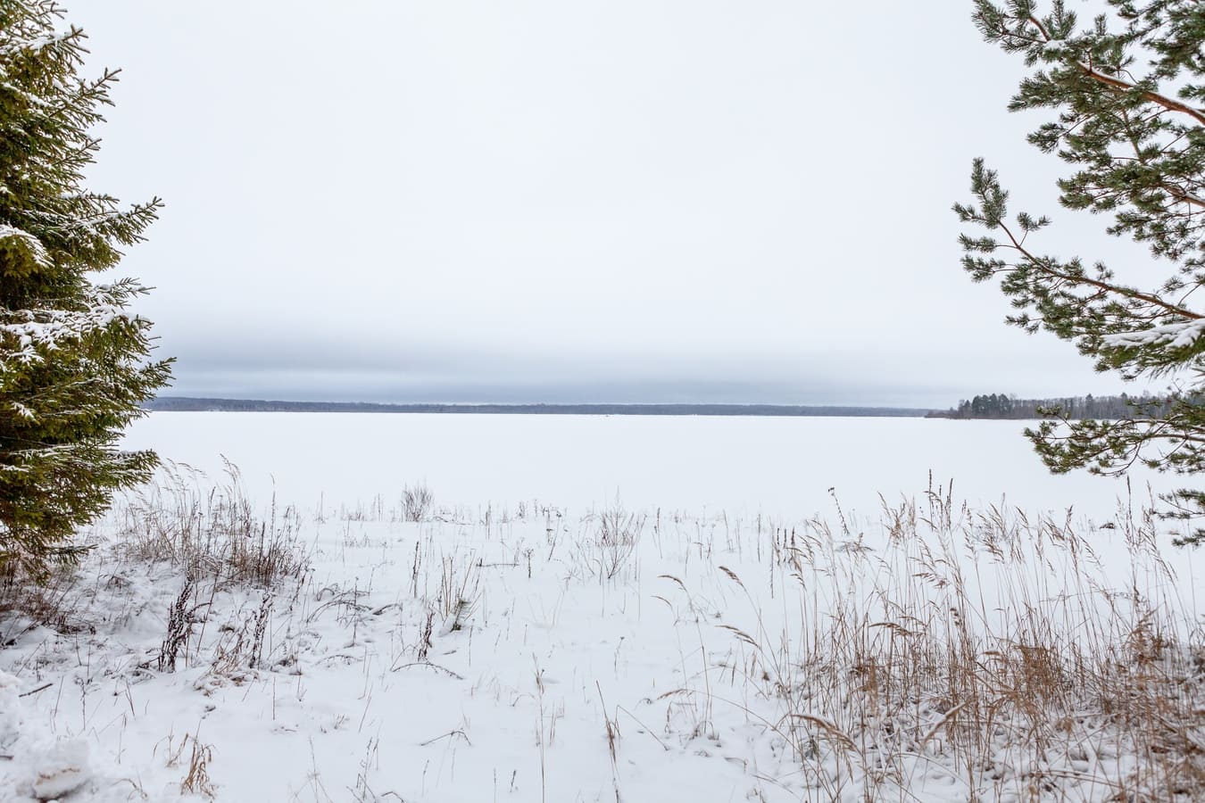 Спорт-Марафон Парк 5*