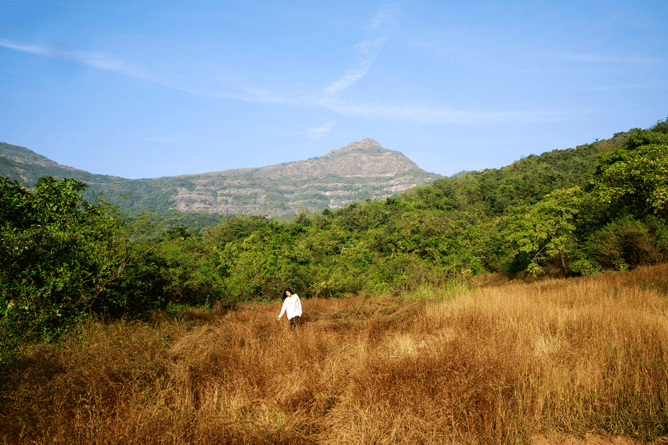 Dharana at Shillim 5*