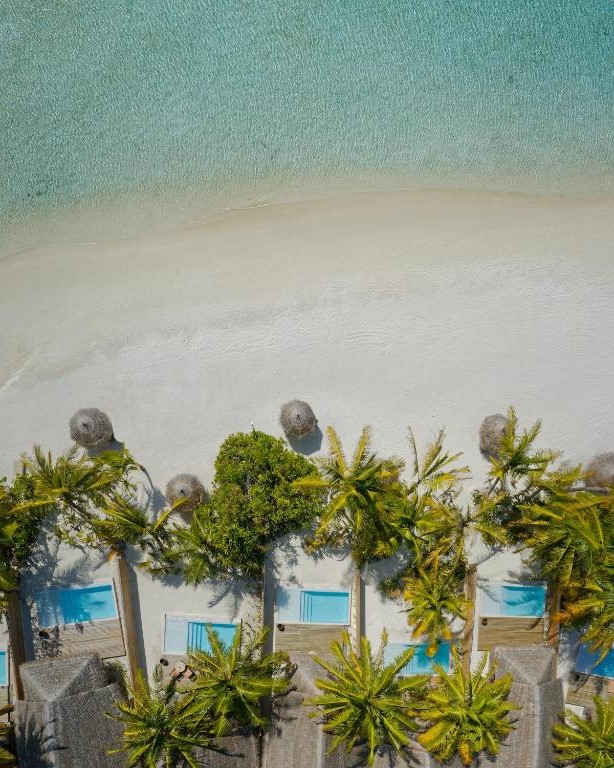 Anantara Dhigu Maldives Resort (South Male atoll) 5* Anantara Dhigu Maldives Resort (South Male atoll) 5*