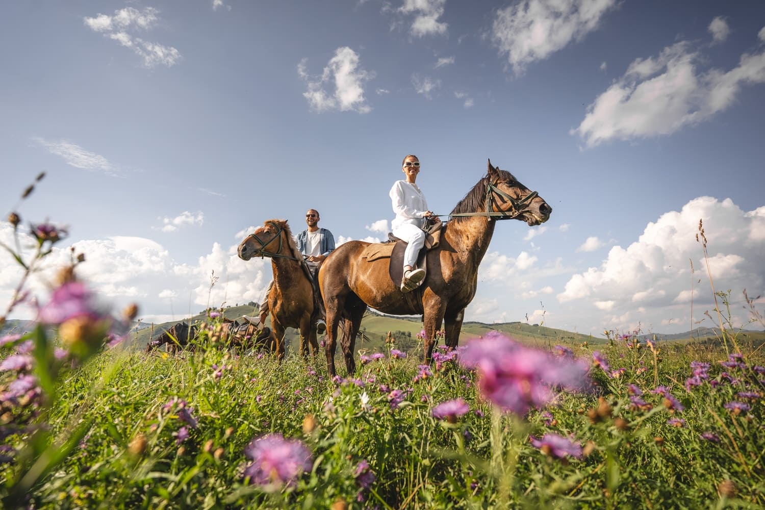 Отель 4* «Altai Palace»
