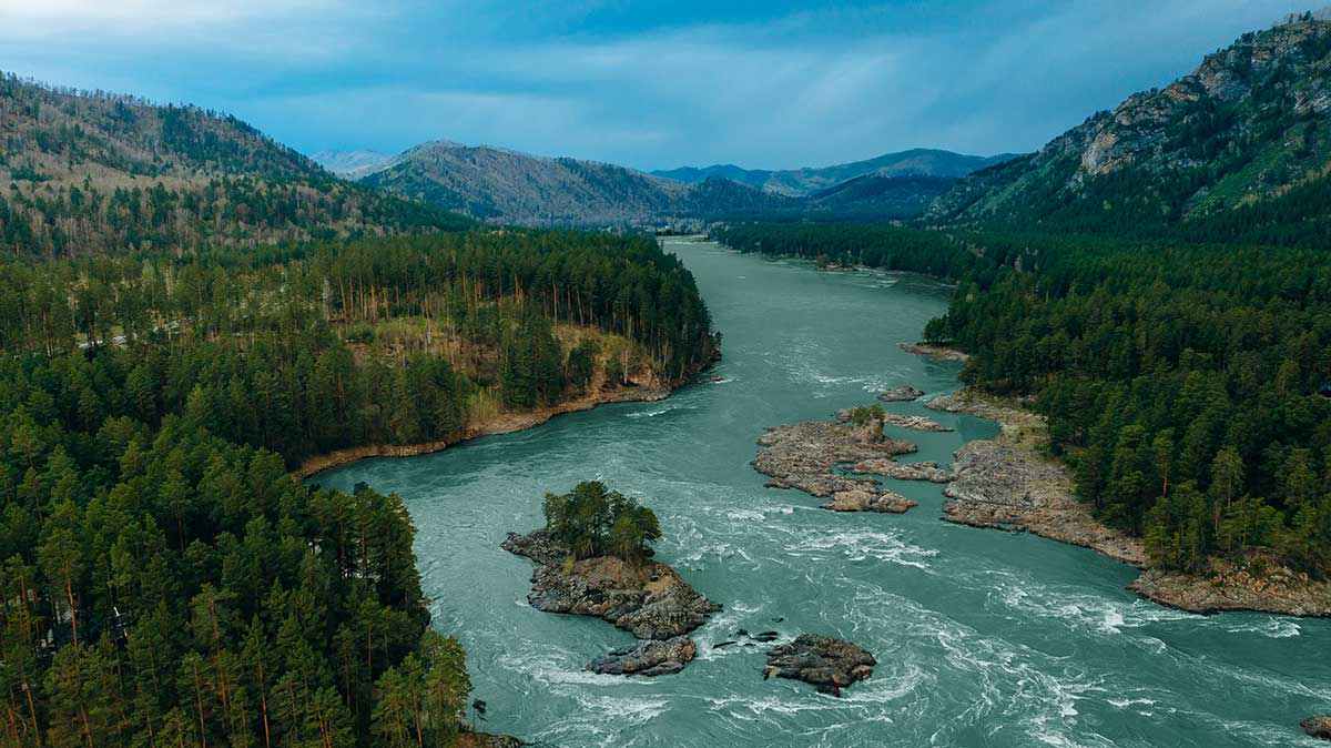 Отель «Хвоя в горах»  5*