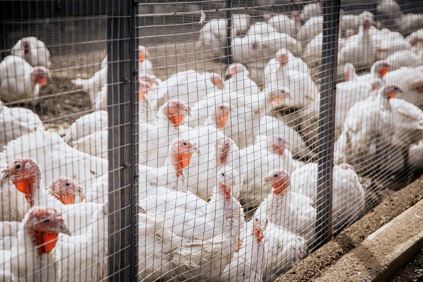 Спорт-Марафон Парк 5*