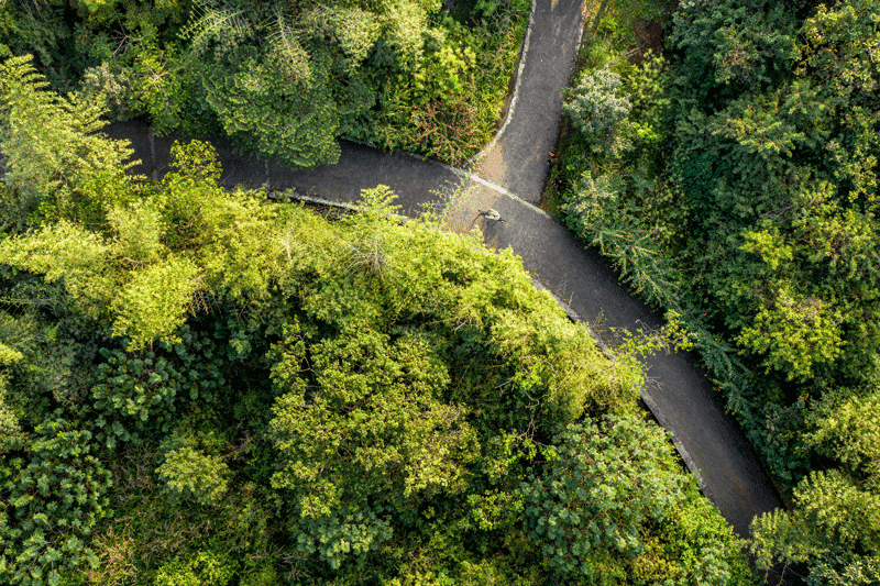 Dharana at Shillim 5*