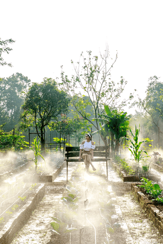 Dharana at Shillim 5*