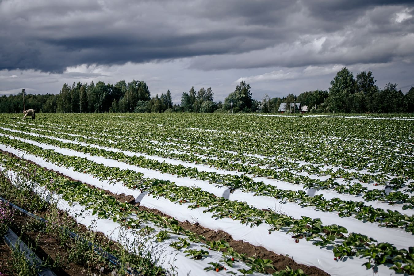 Спорт-Марафон Парк 5*