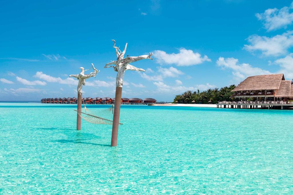 Anantara Dhigu Maldives Resort (South Male atoll) 5* Anantara Dhigu Maldives Resort (South Male atoll) 5*