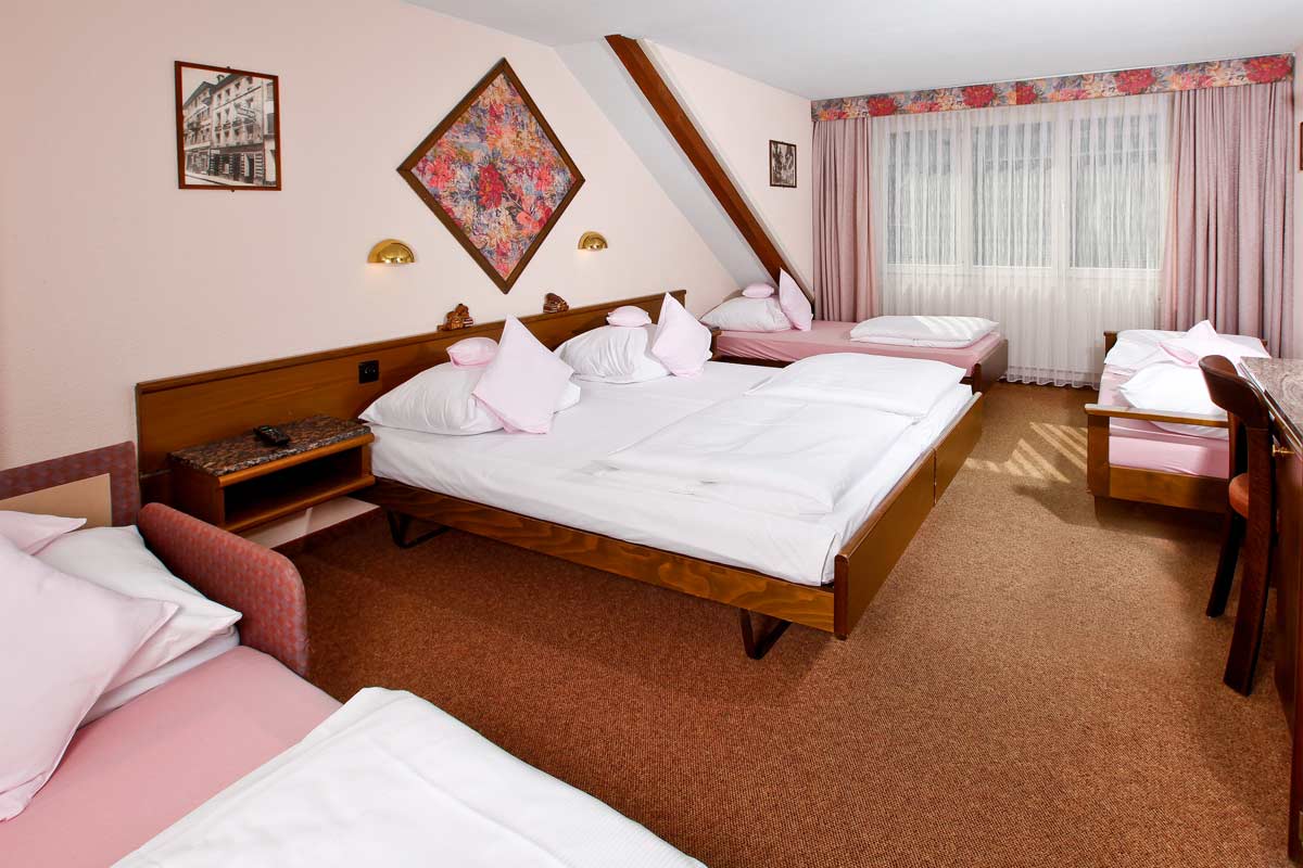 Hotel Baslertor 3*