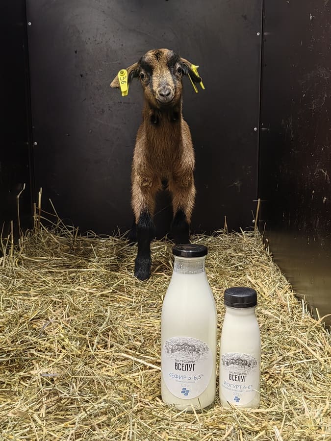 Спорт-Марафон Парк 5*