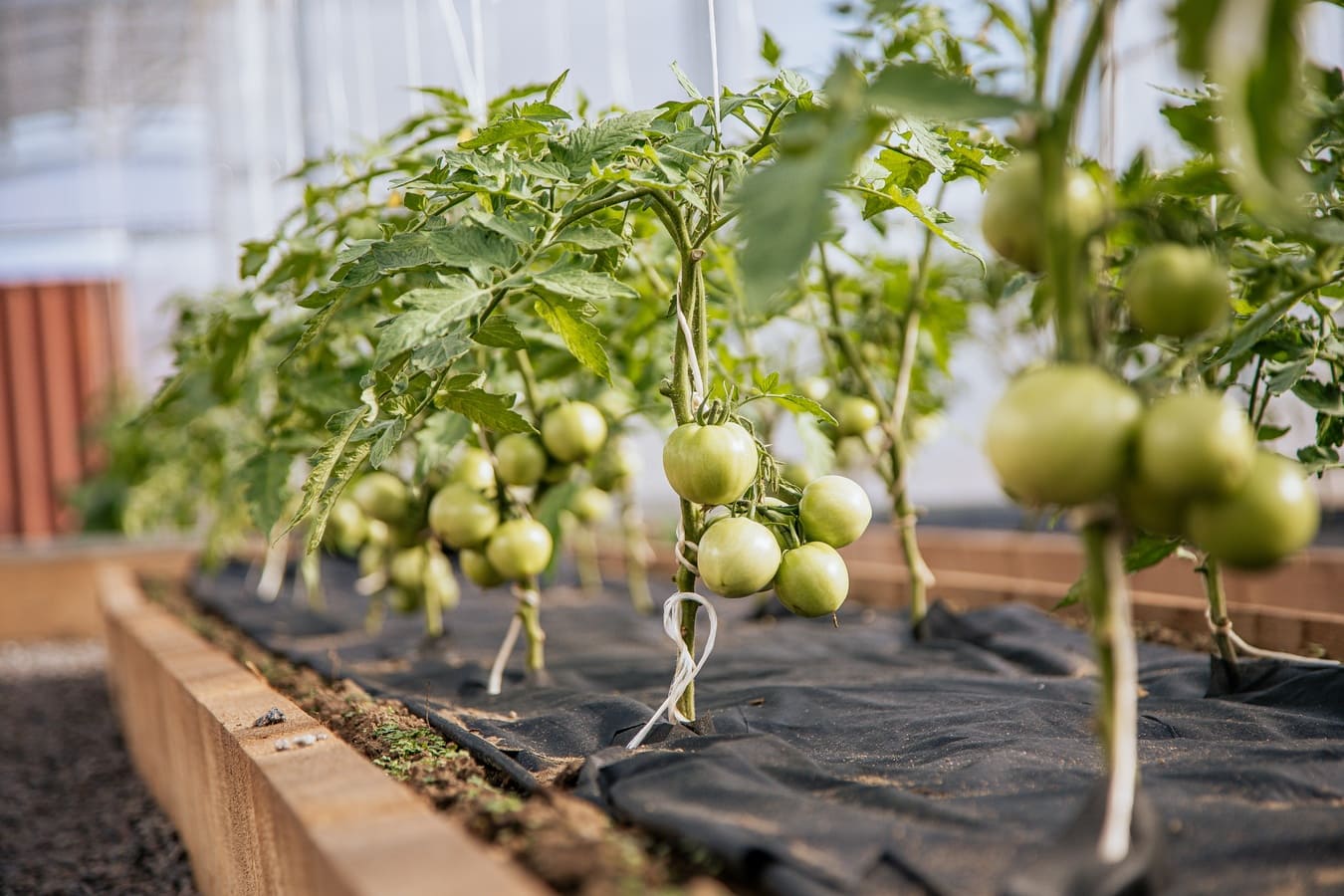 Спорт-Марафон Парк 5*