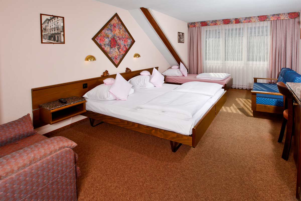 Hotel Baslertor 3*