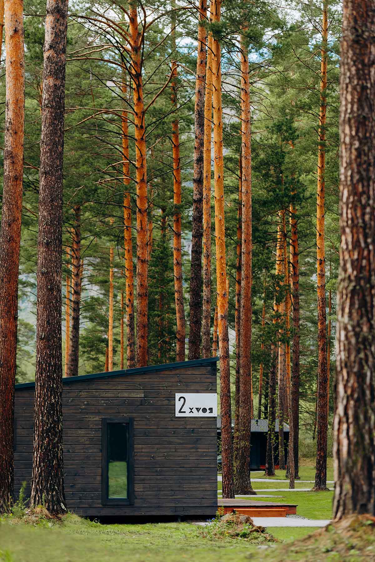 Отель «Хвоя в горах»  5*