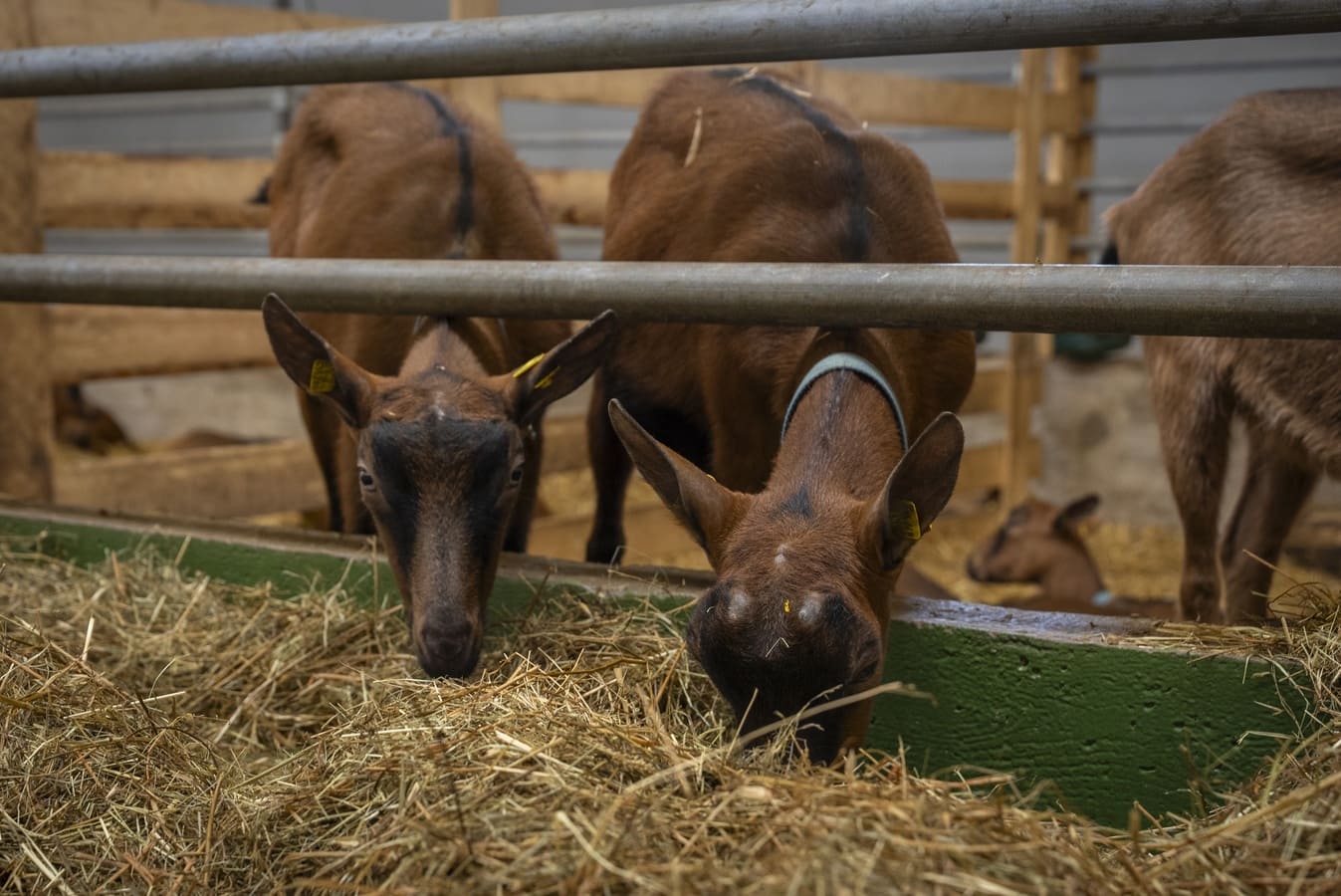 Спорт-Марафон Парк 5*