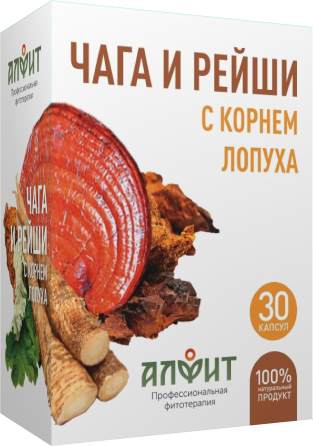 ЧАГА И РЕЙШИ С КОРНЕМ ЛОПУХА ЧАГА И РЕЙШИ С КОРНЕМ ЛОПУХА