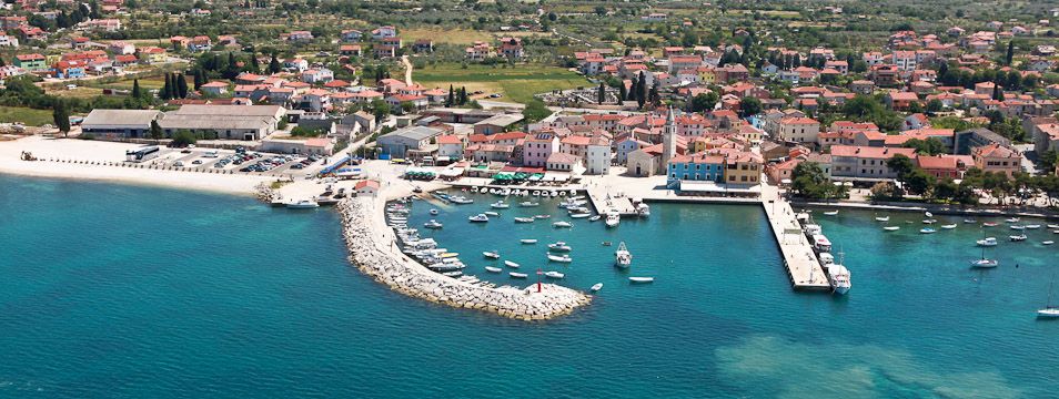 img-pula-fazana-05.jpg img-pula-fazana-05.jpg