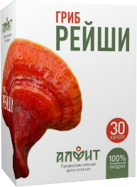 ГРИБ РЕЙШИ ГРИБ РЕЙШИ