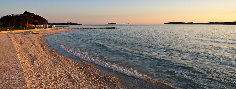 img-pula-fazana-01.jpg img-pula-fazana-01.jpg