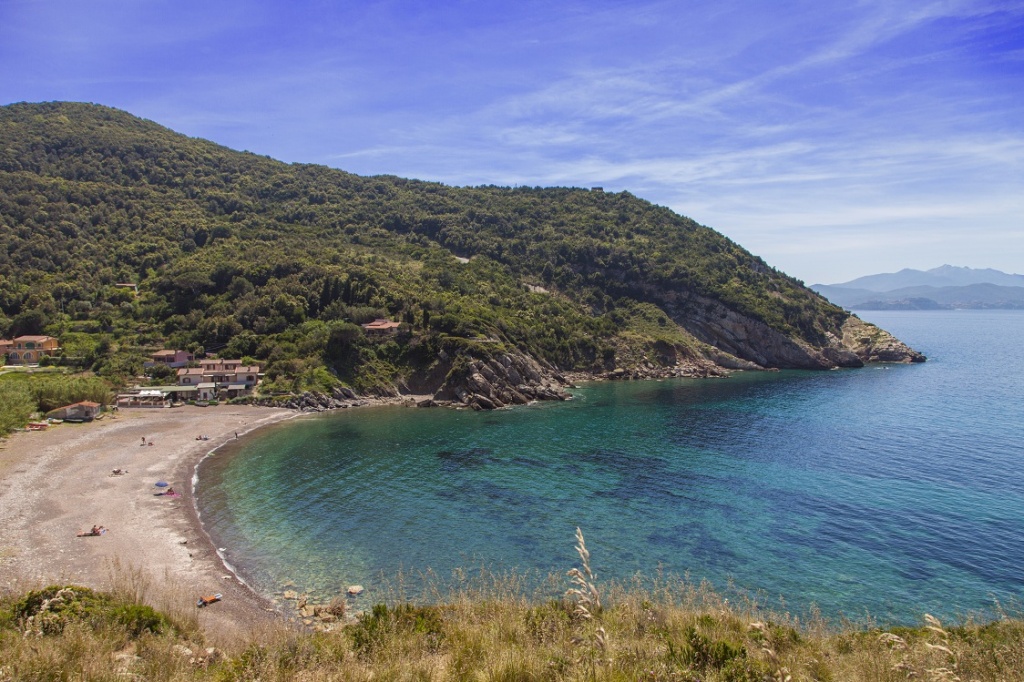elba.jpg elba.jpg