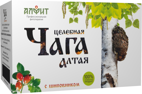 ЦЕЛЕБНАЯ ЧАГА АЛТАЯ ЦЕЛЕБНАЯ ЧАГА АЛТАЯ