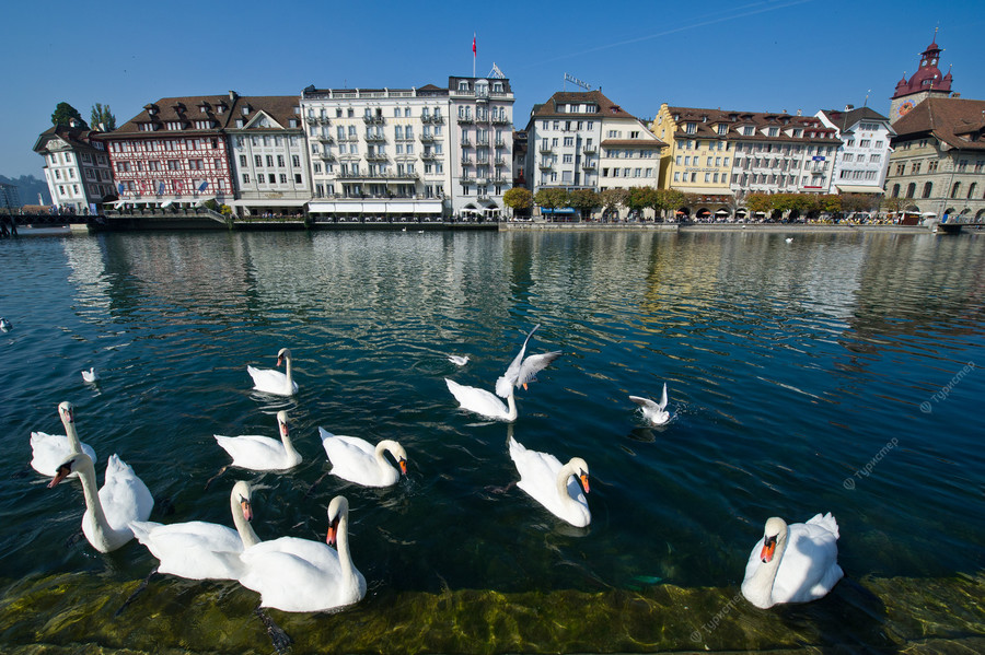 lake_lucern.jpg