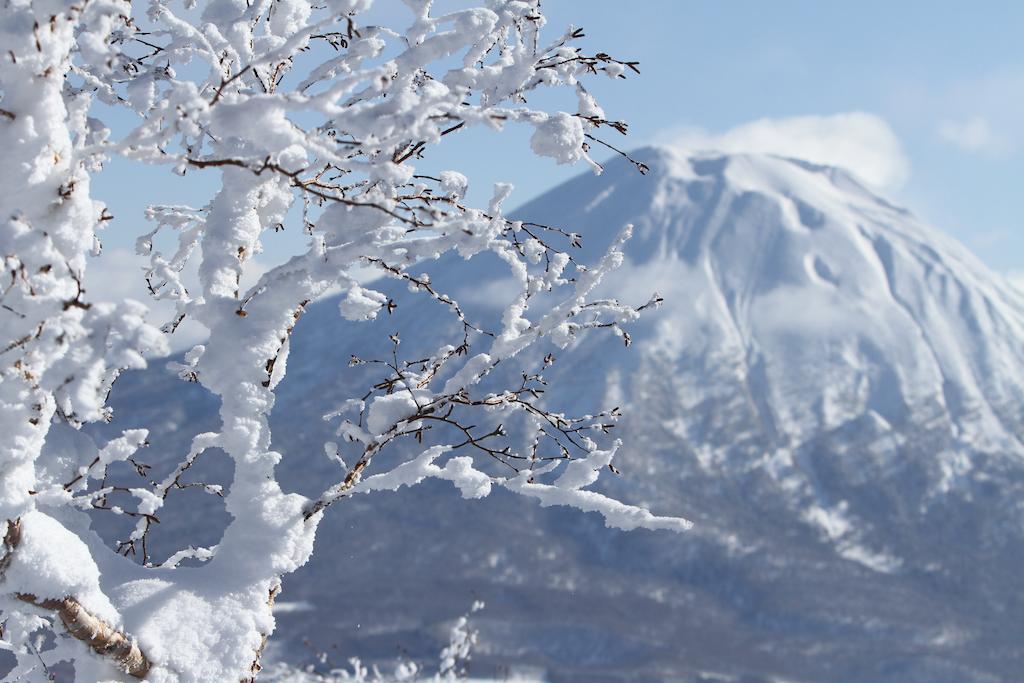 niseko.jpg