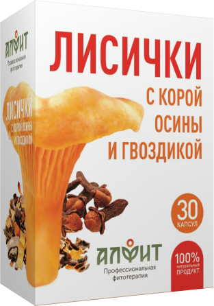 ЛИСИЧКИ С КОРОЙ ОСИНЫ И ГВОЗДИКОЙ ЛИСИЧКИ С КОРОЙ ОСИНЫ И ГВОЗДИКОЙ