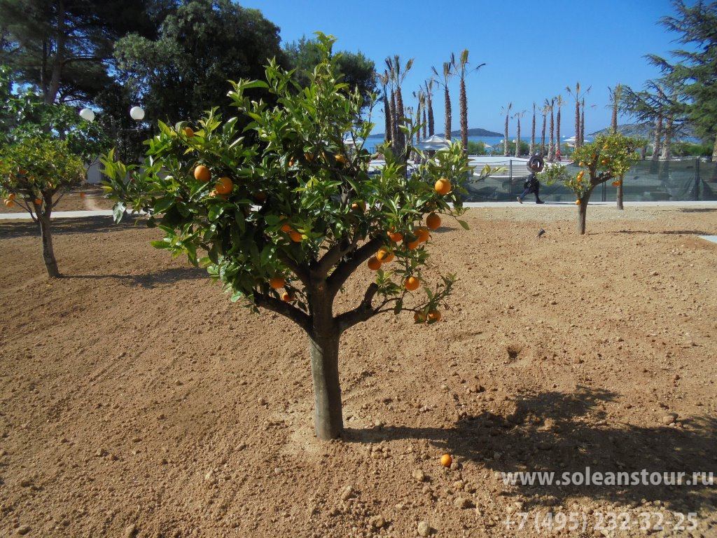 Amadria Park Hotel Jure 4*sup+ Amadria Park Hotel Jure 4*sup+