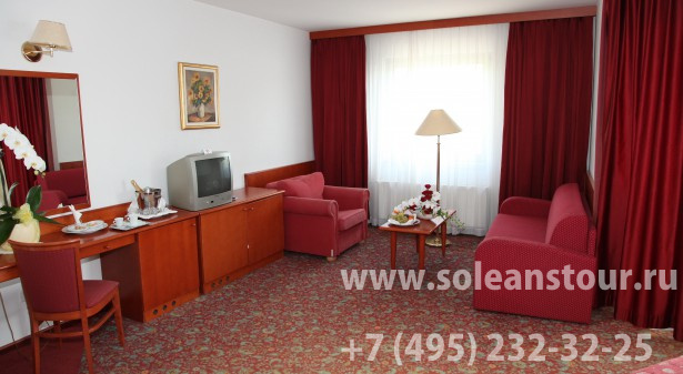 Отель Toplice 4*
