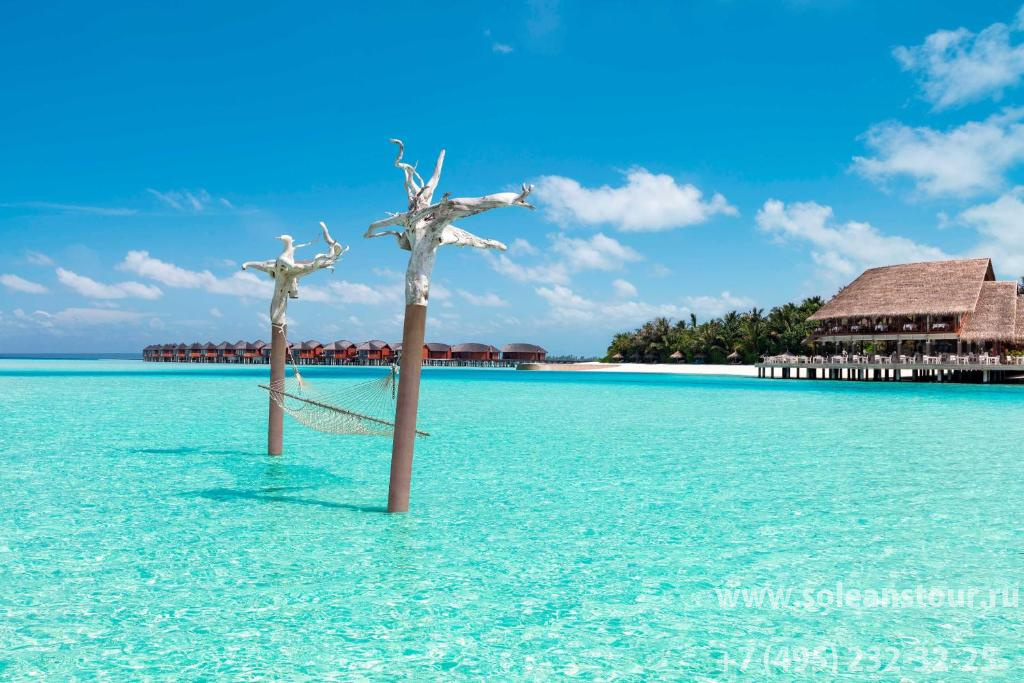 Anantara Dhigu Maldives Resort (South Male atoll) 5* Anantara Dhigu Maldives Resort (South Male atoll) 5*